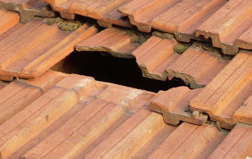 roof repair Middridge, County Durham